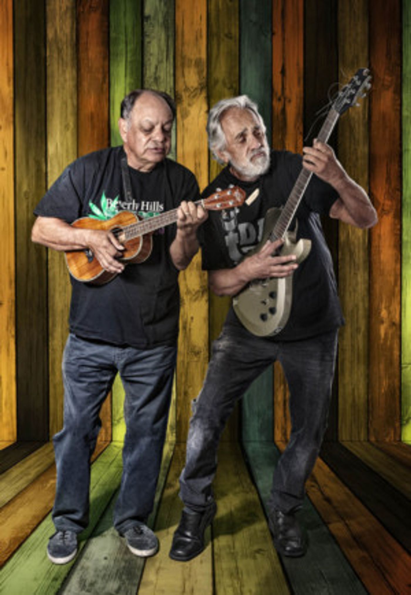 Cheech And Chong Come to Mayo Performing Arts Center 4/19  Image