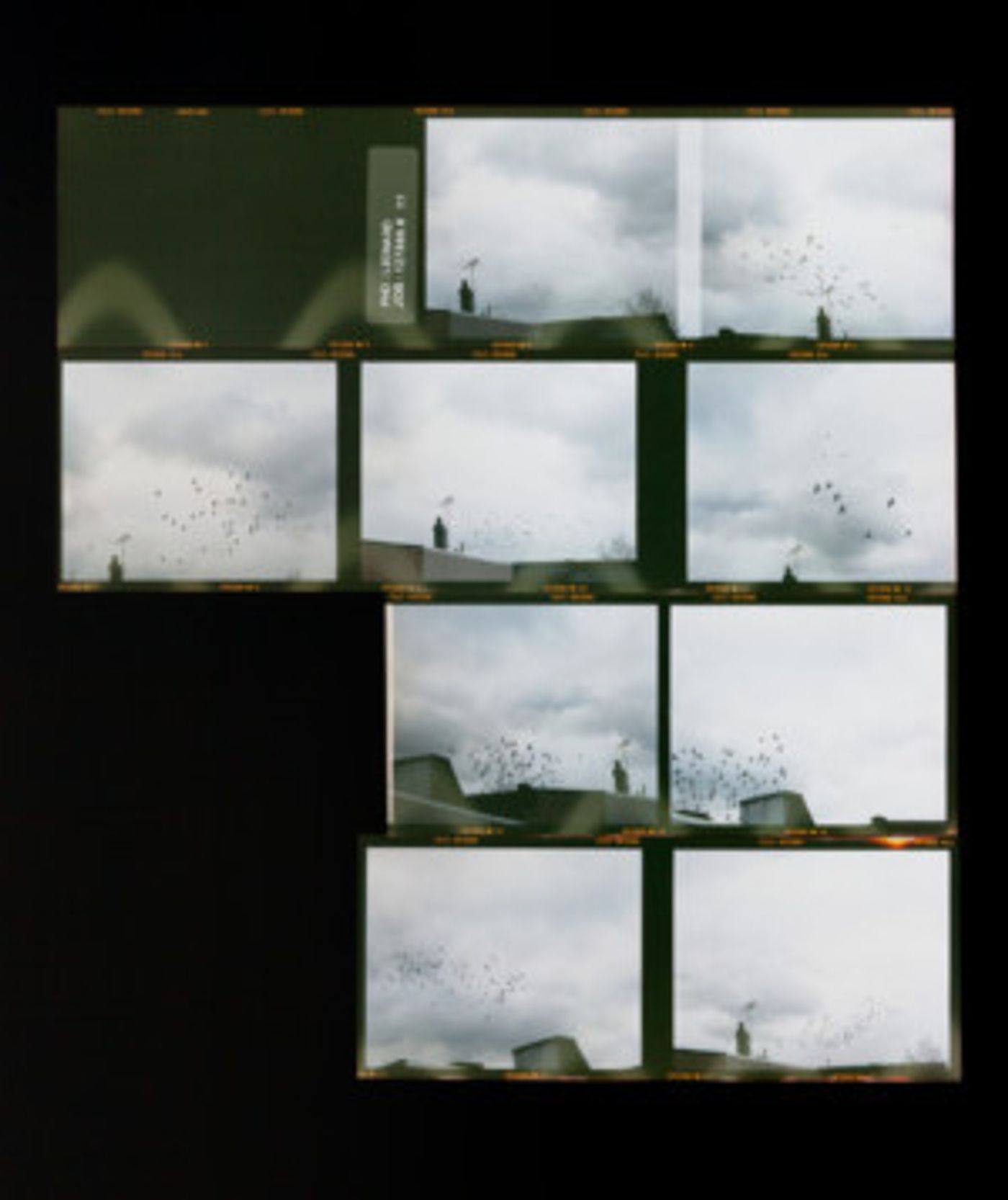 FotoFocus Presents Conversation With Photographer Zoe Leonard, 3/29  Image