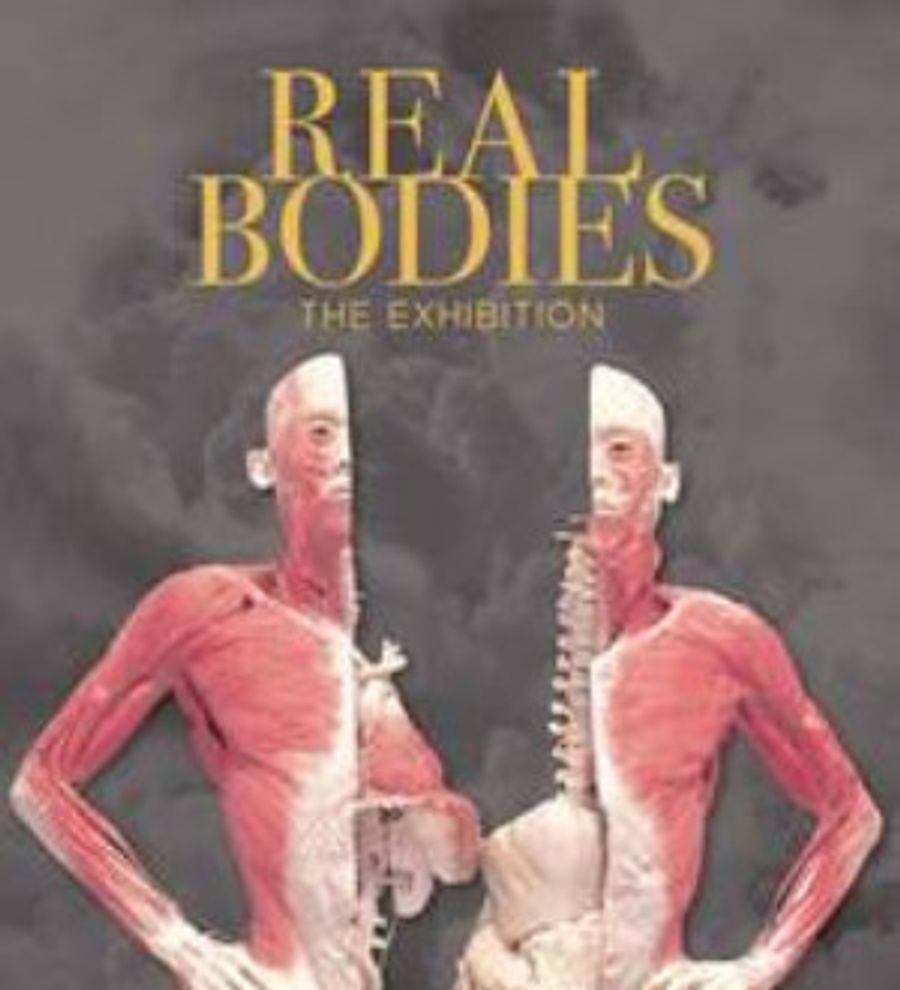 REAL BODIES The Exhibition Premieres In Sydney Image