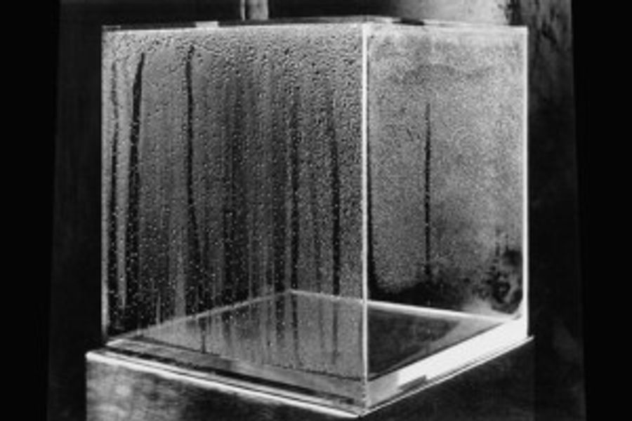 New Exhibition by Hans Haacke Opens, Wednesday, 4/4 Image