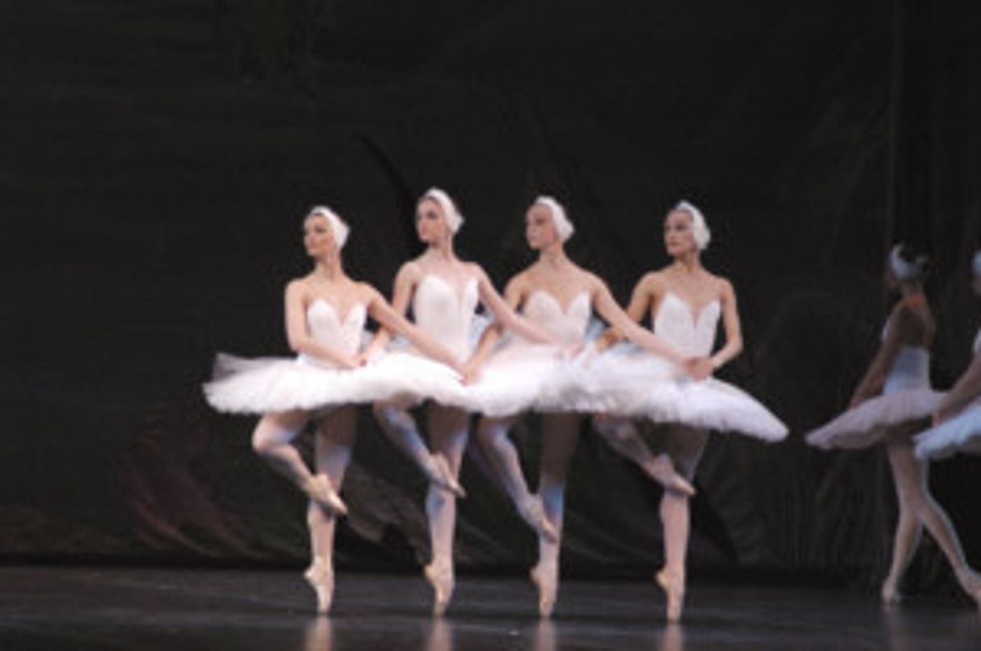 Mayo Performing Arts Center Welcomes Moscow Festival Ballet in SWAN LAKE  Image
