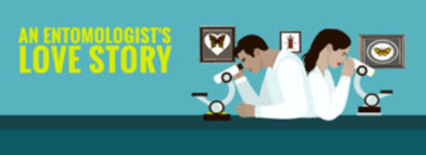AN ENTOMOLOGIST'S LOVE STORY Gets World Premiere 5/12  Image
