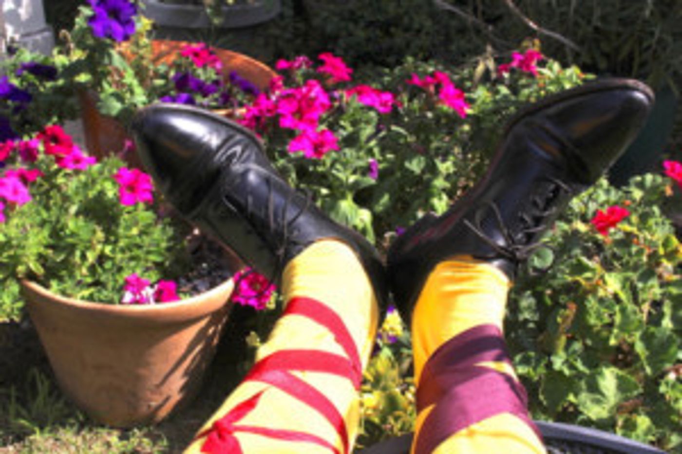 Parson's Nose Presents Clearly Classics: Shakespeare's TWELFTH NIGHT  Image