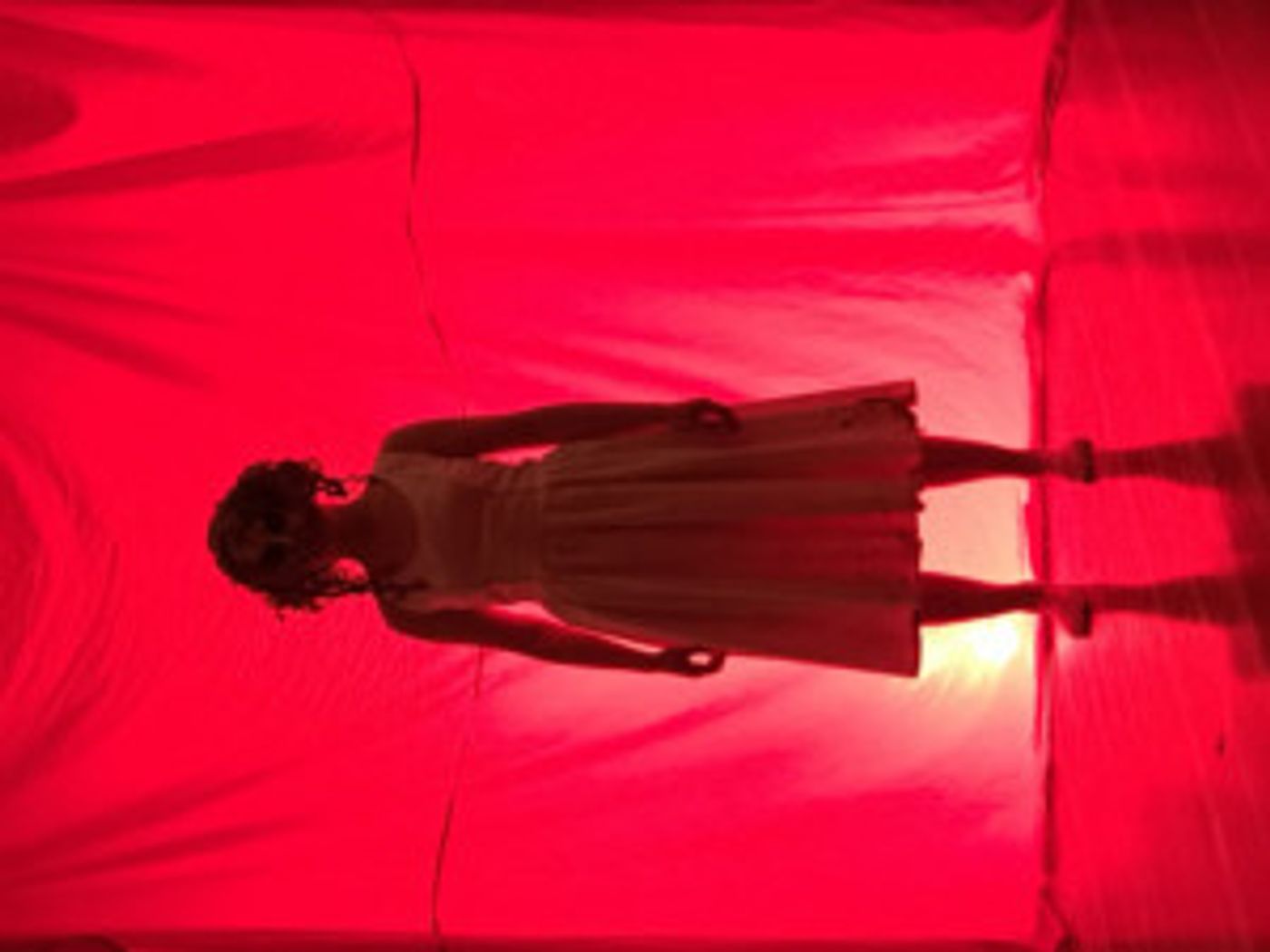 Contemporary Performance 2017-18 Company Presents VERY POORLY INDEED at CoHo Theater  Image