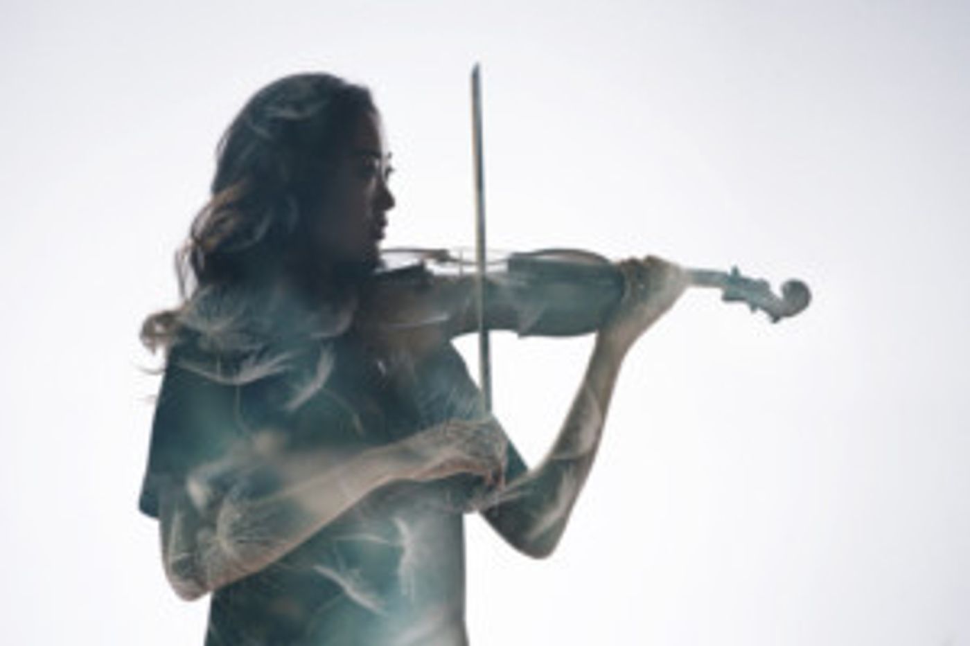 Get UP CLOSE With Camerata This June  Image