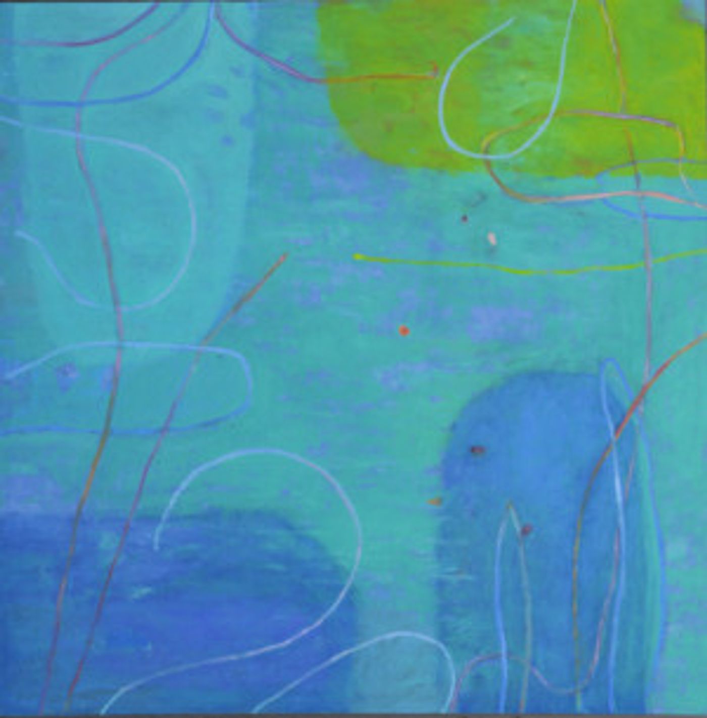 Jim Holl: ALL THE LIVING THINGS Announced at Garvey|Simon Gallery  Image