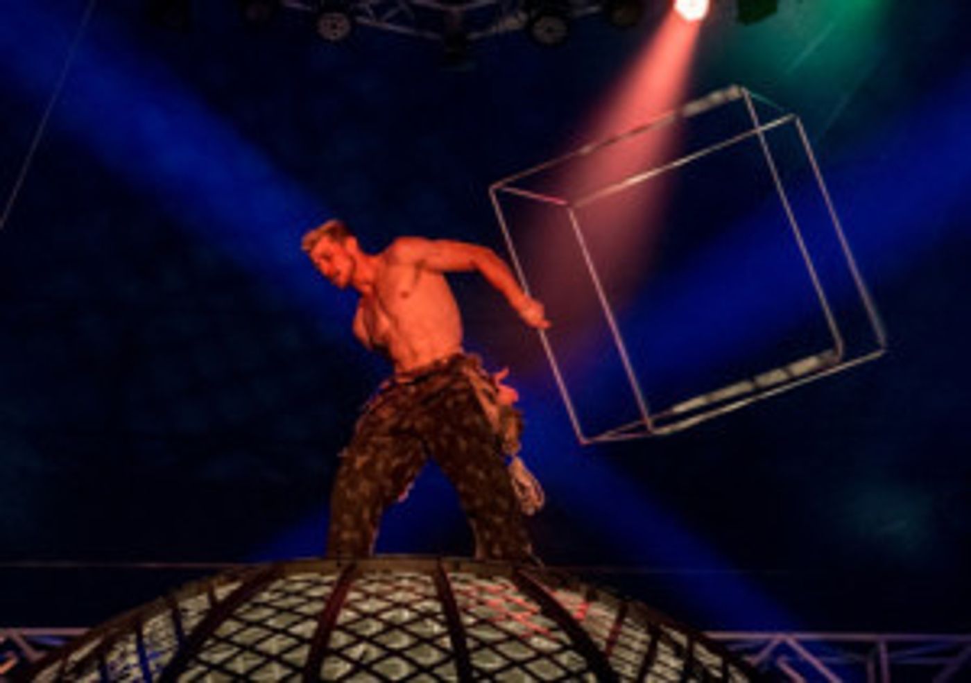 THE GREAT MOSCOW CIRCUS Returns To Adelaide  Image