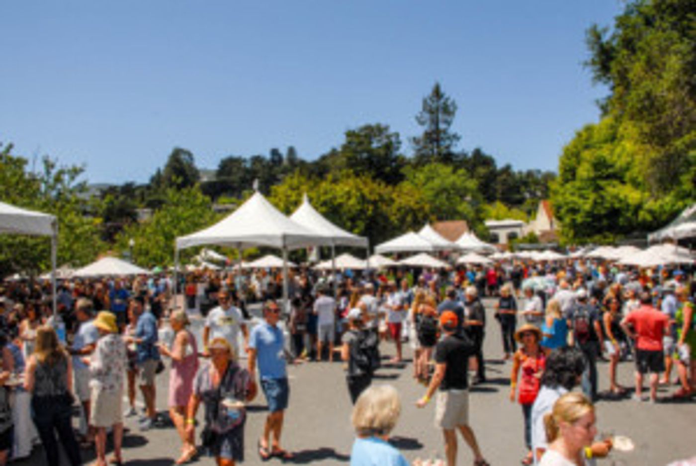 The 37th Mill Valley Wine, Beer And Gourmet Food Tasting Opens 6/3  Image