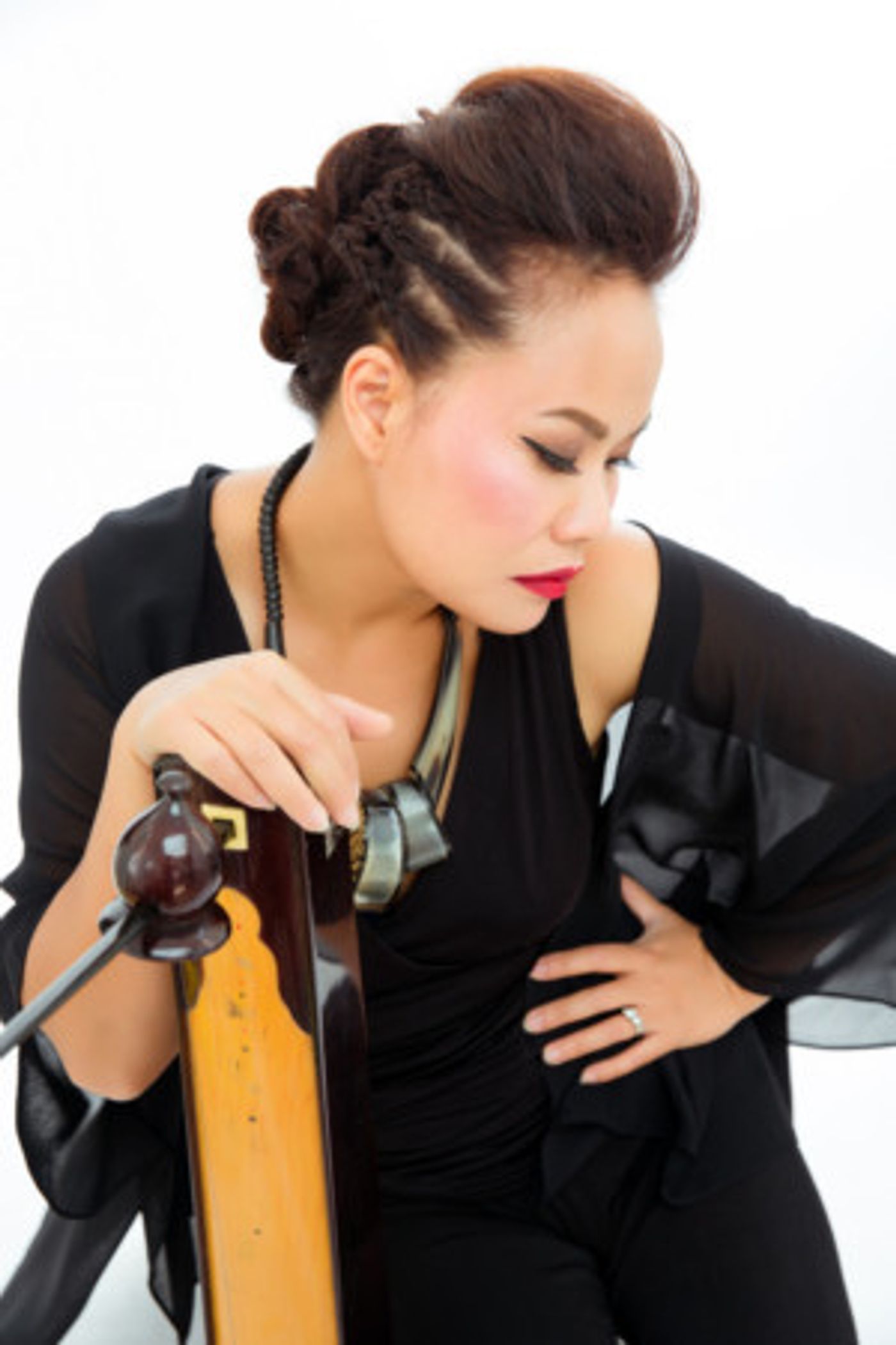 SF Live Arts Presents Immigrant Voices Series With Vietnamese Music Virtuoso: Van-Anh Vanessa Vo  Image