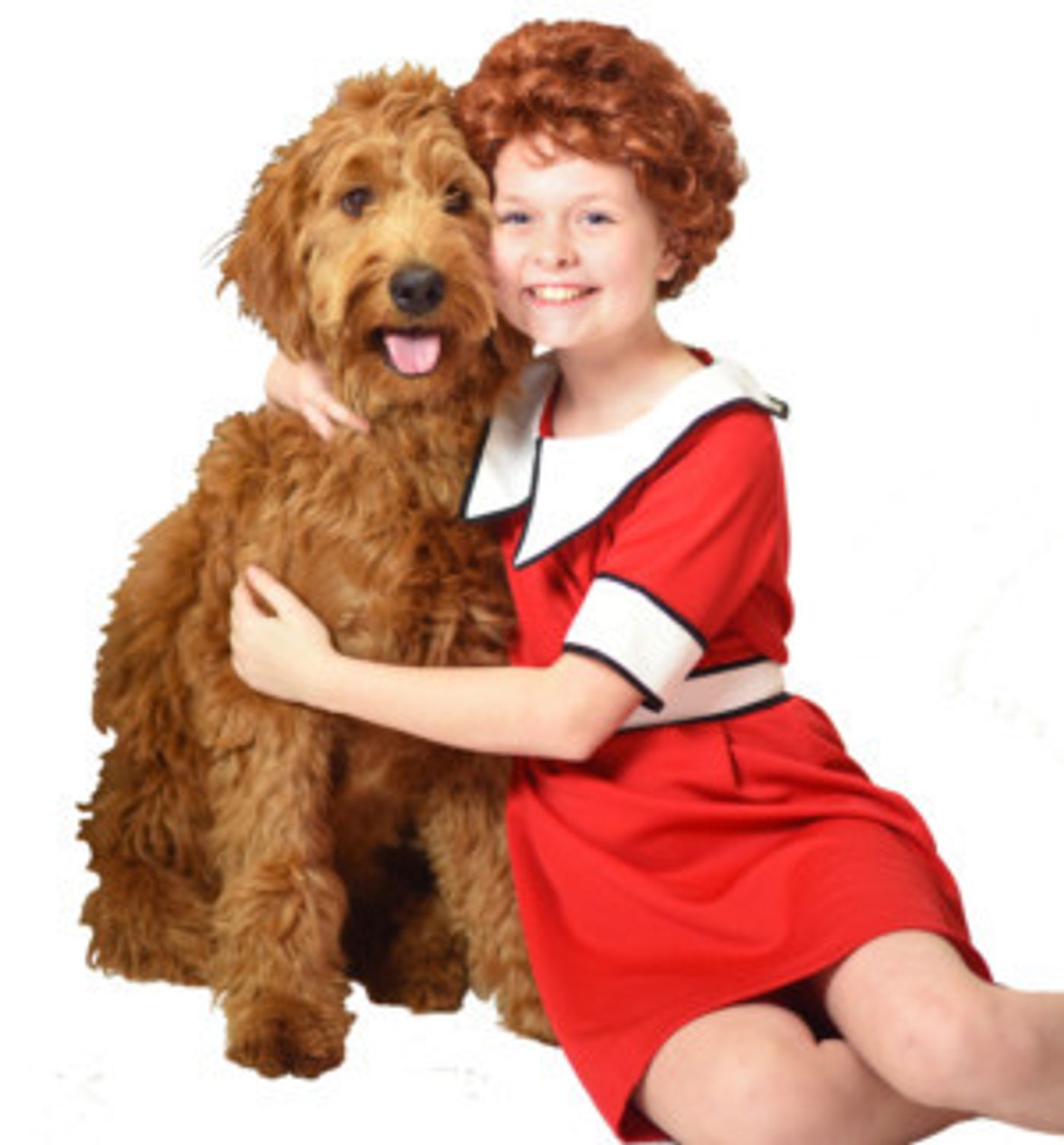 ANNIE Comes to Beef & Boards Dinner Theatre, 5/31  Image