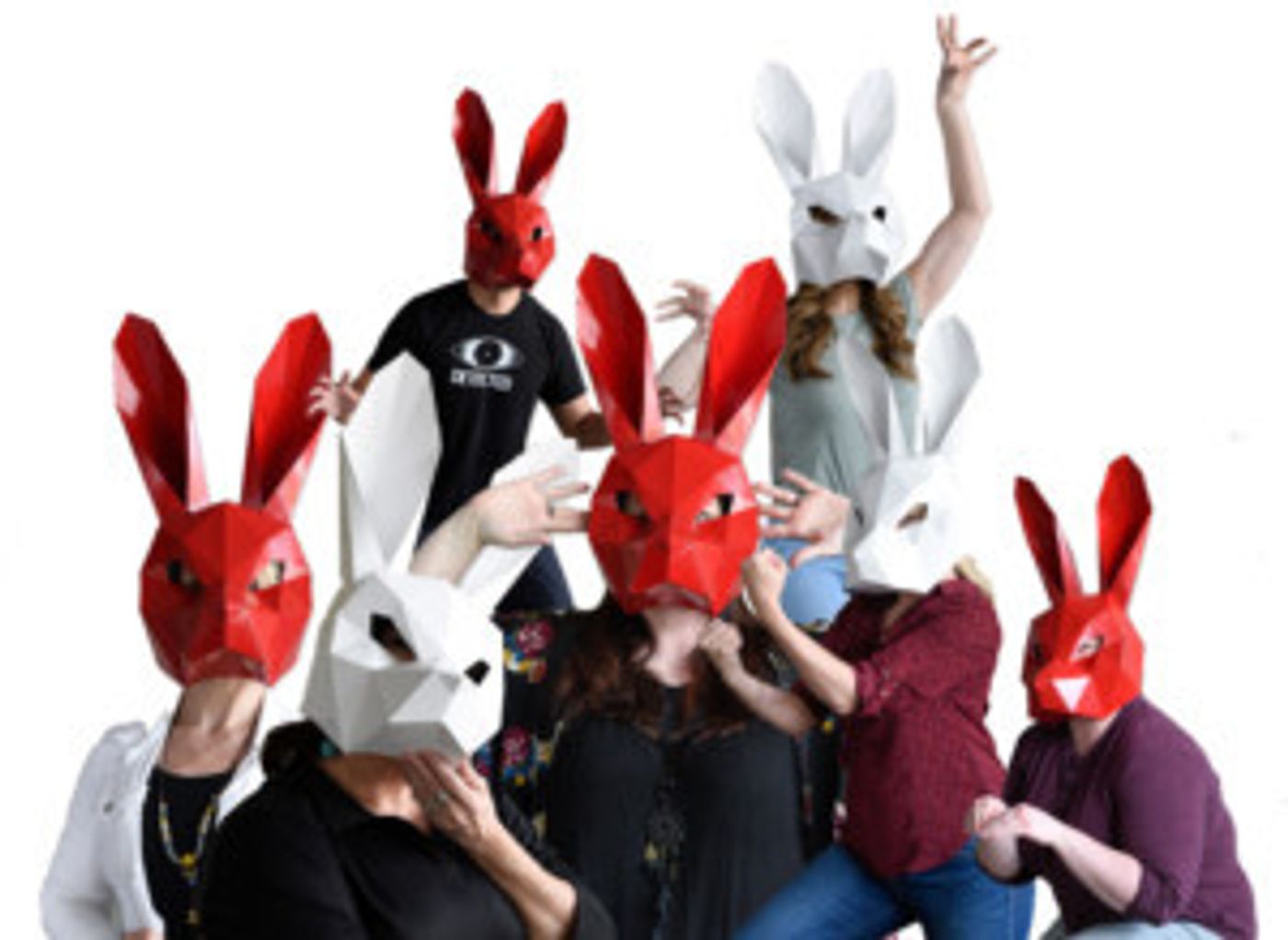 Dallas Theater Center Presents WHITE RABBIT RED RABBIT  Image