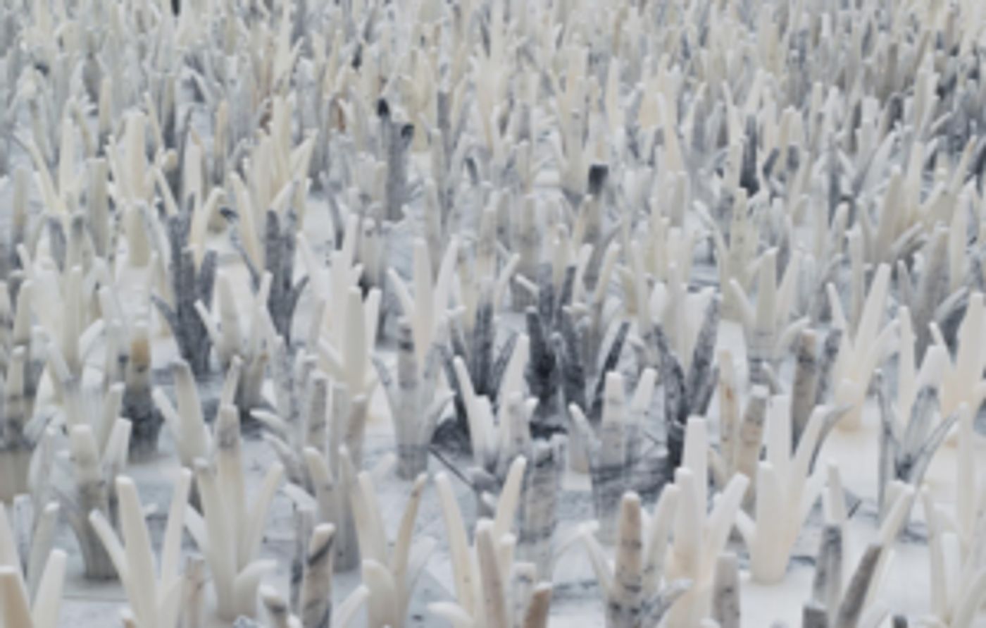 United Talent Agency Opens New Artist Space in Beverly Hills  Image