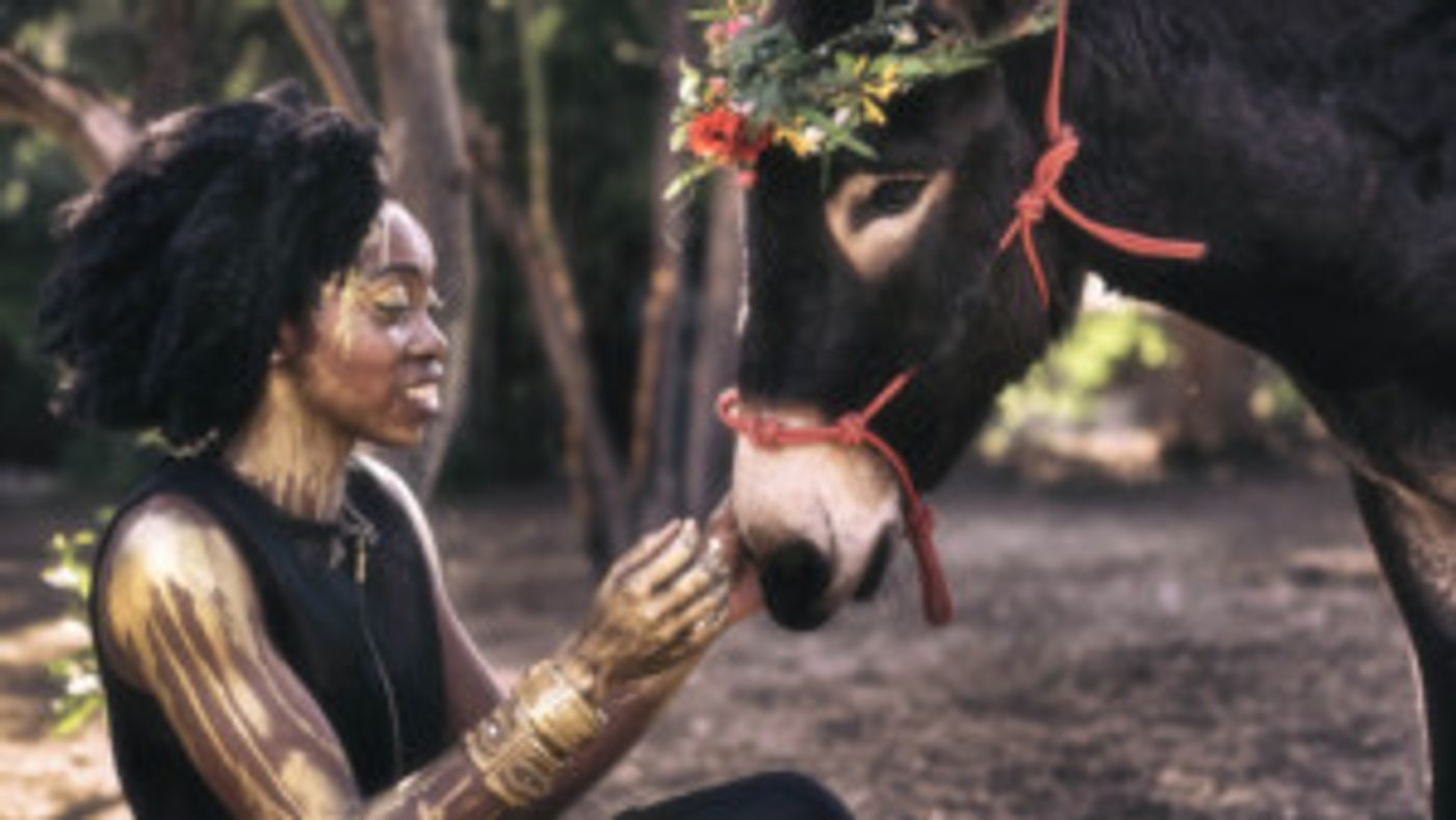 Independent Shakespeare Co. Presents First Show Of Griffith Park Free Shakespeare A MIDSUMMER NIGHT'S DREAM  Image