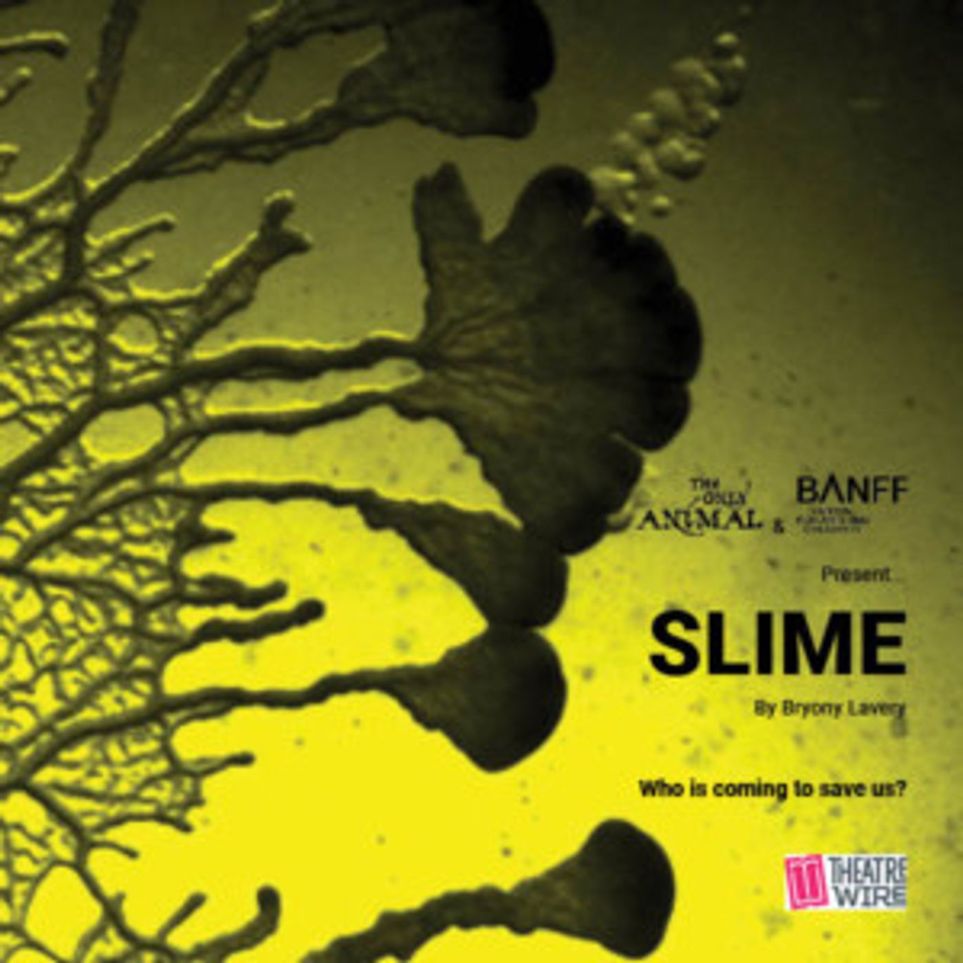 SLIME By Bryony Lavery to Be Presented in Vancouver  Image