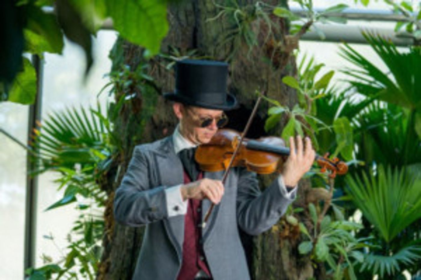 Acclaimed Actor David Rainey Joins Mercury In The Theatrical Premiere Of FOUR SEASONS  Image