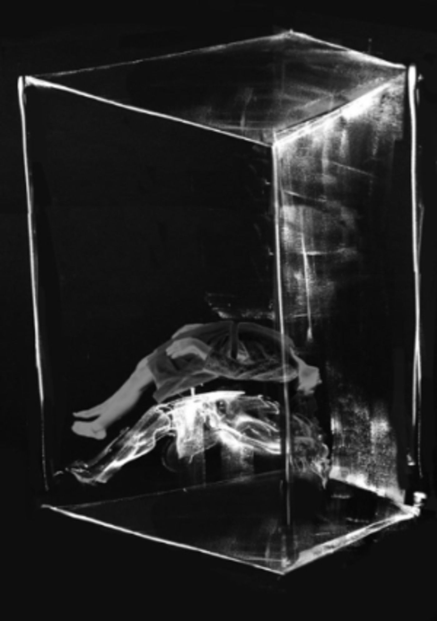 Young People's Chorus Of New York City Partners With Yale Choral Artists For Concerts In New Haven And New York  Image