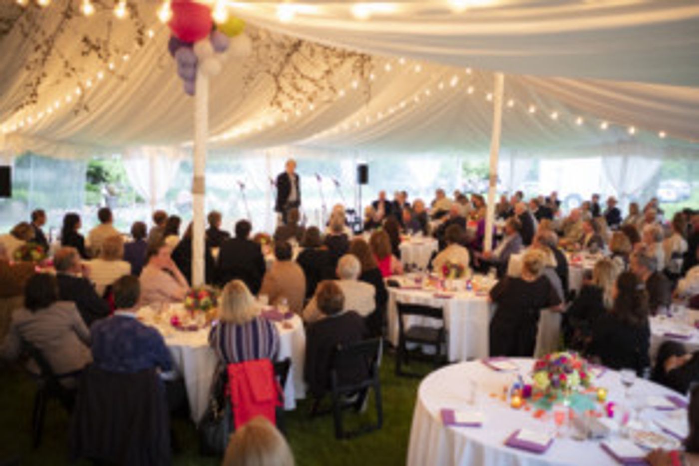 Purple Rose Announces 'Rustic Rose' Summer Benefit  Image