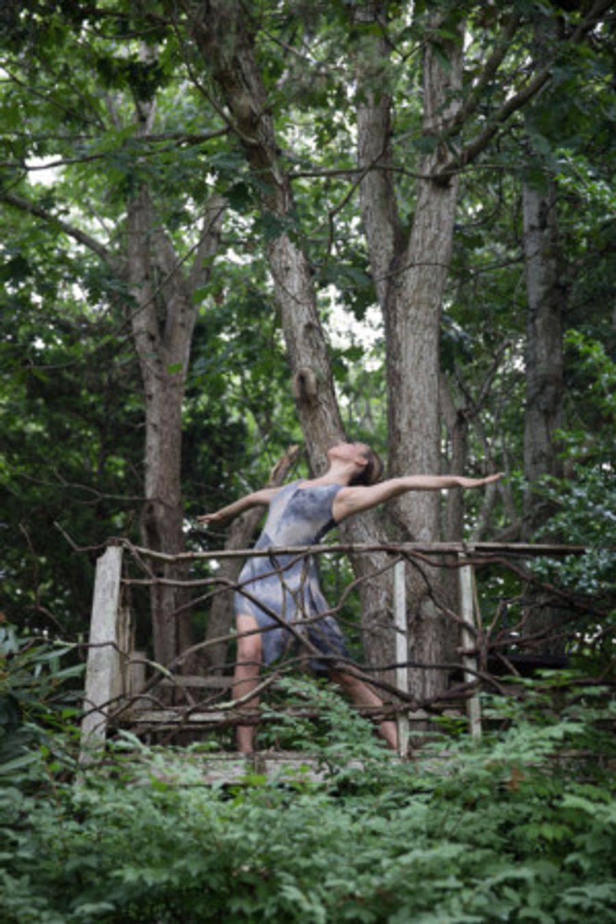 Amanda Selwyn Dance Theatre Presents GREEN AFTERNOON VI - 8/18 Image