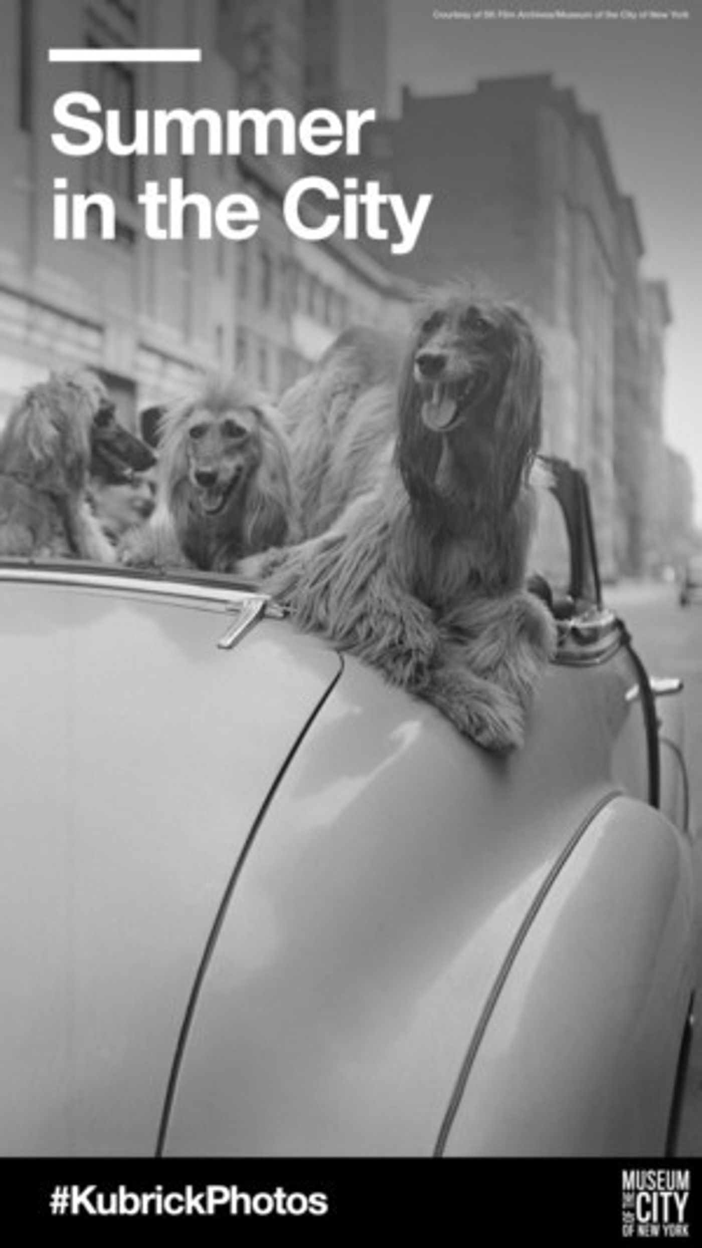 LinkNYC, DoITT Announce Content Partnership With The Museum Of The City Of New York  Image