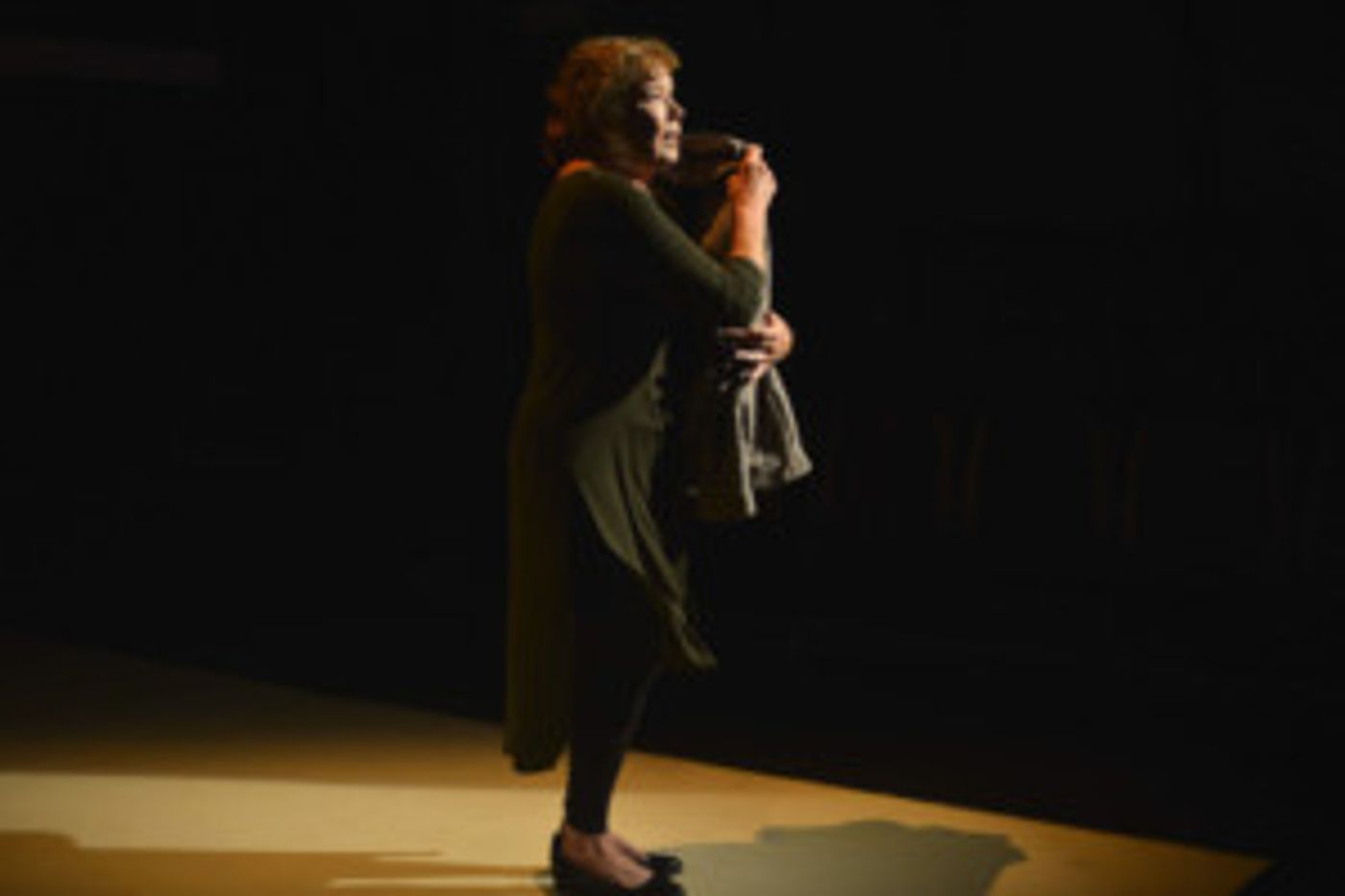 Acclaimed Actress Dorothy Ann Gould Stars In Joan Didion's THE YEAR OF MAGICAL THINKING  Image