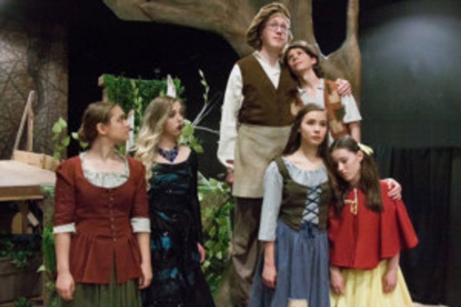 DreamWrights' Takes a Journey INTO THE WOODS Image