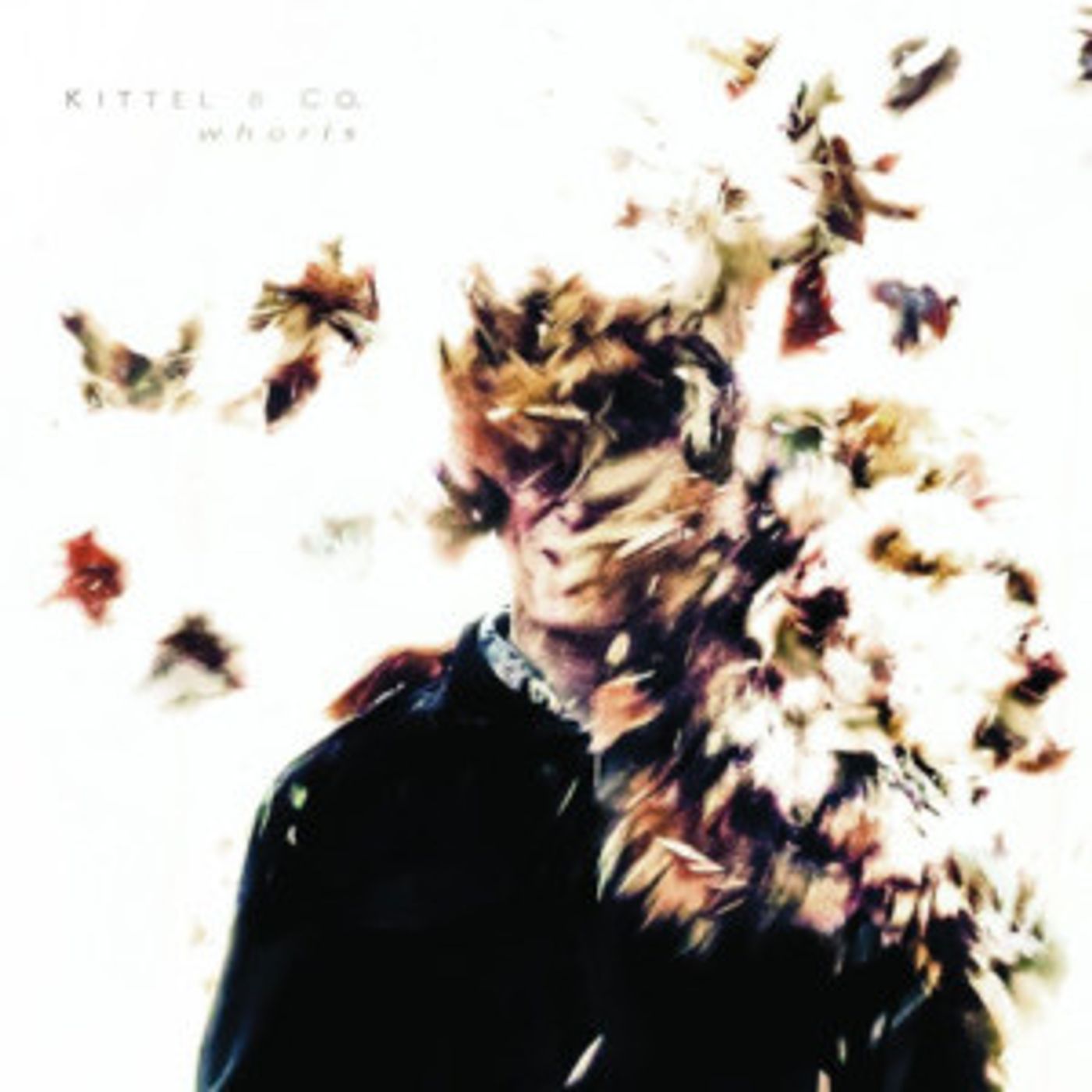 Out Now: Kittel & Co.'s Debut Album, WHORLS  Image