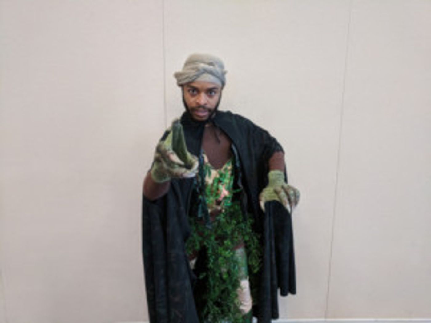 Dandelion Productions Announce the Return of Connecticut Free Shakespeare  Image