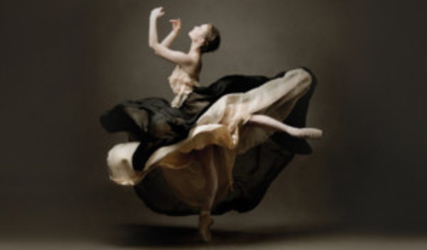 Jurgita Dronina Awarded The Order Of Merit To Lithuania  Image