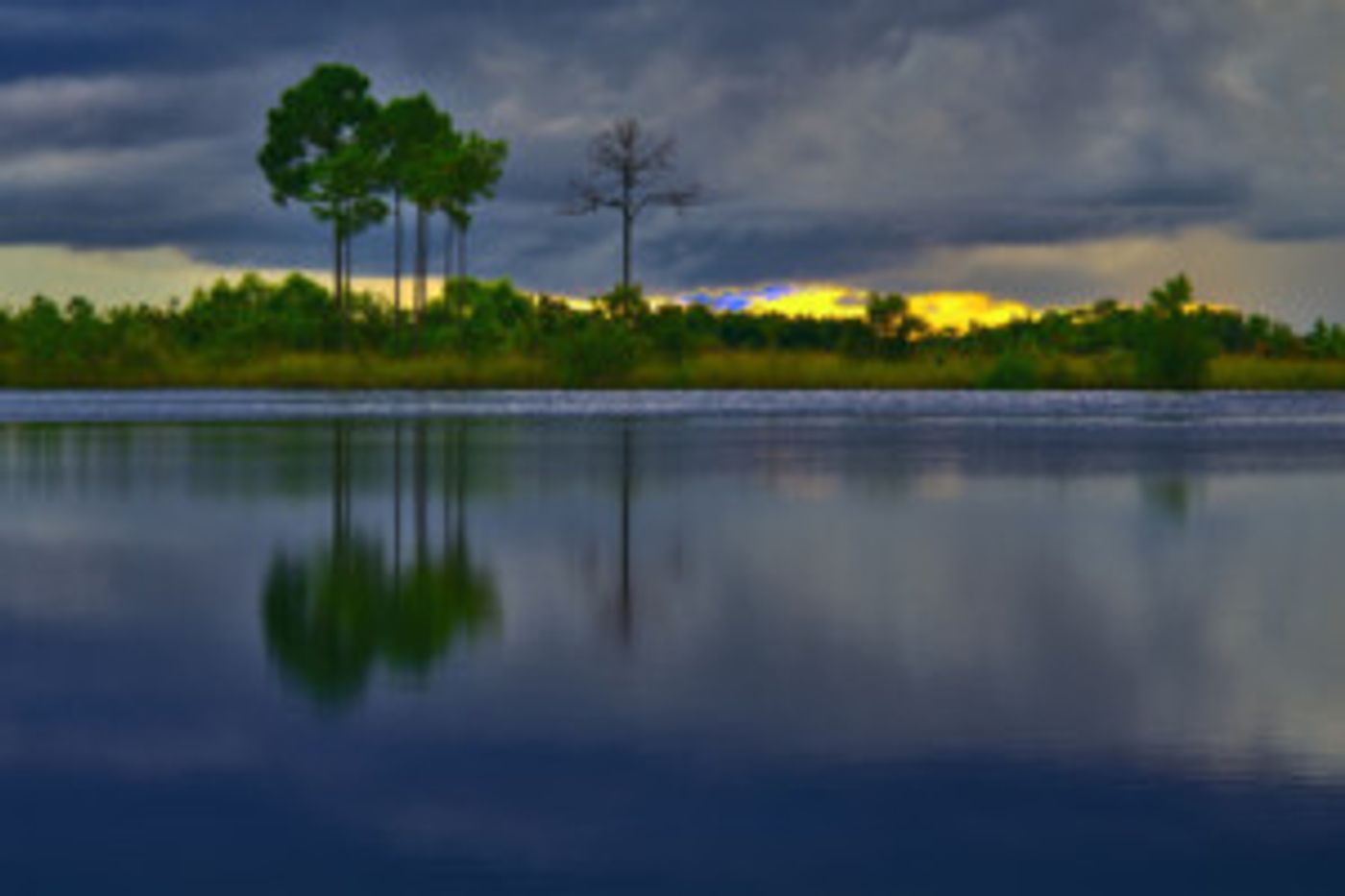 BaCA Presents Stunning Photo Exhibit 'The Everglades: Spirit Of The Land'  Image