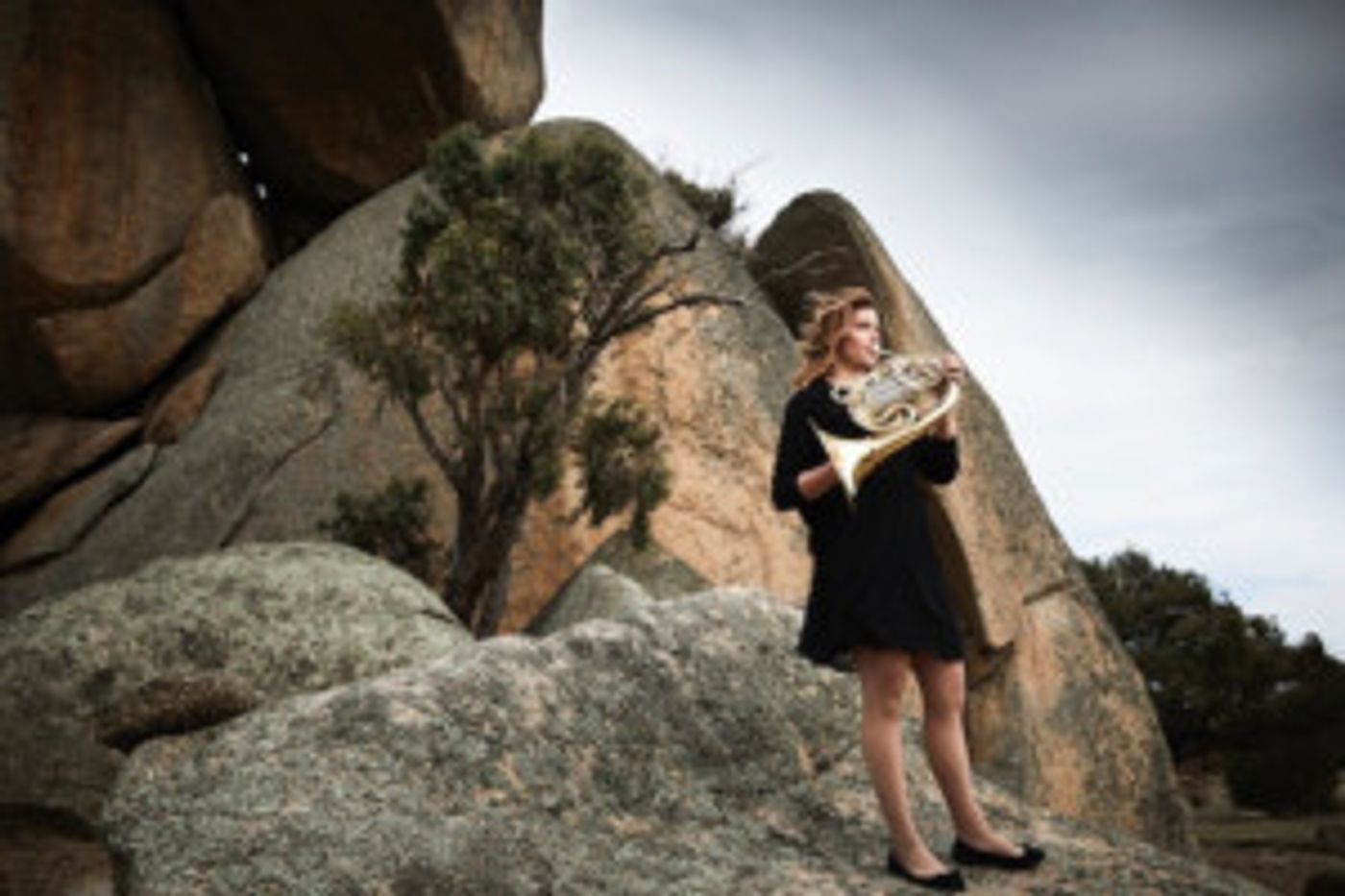 The Orchestra Victoria Bendigo Festival Returns To The Region With A World Class Series Of Concerts And Workshops  Image