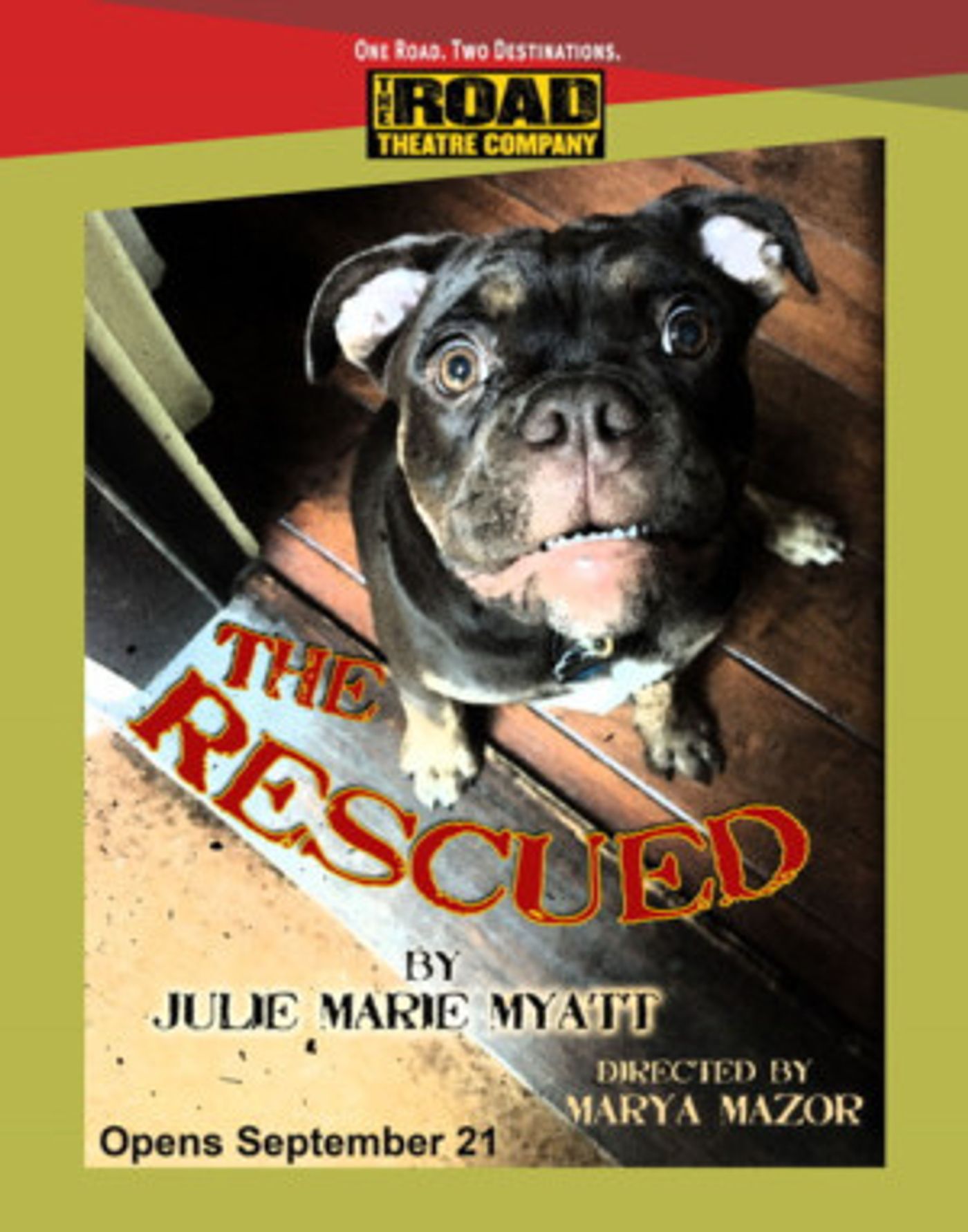 Road Theatre Company Presents World Premiere of THE RESCUED  Image