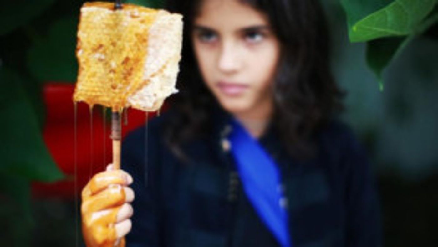 Satellite Collective Announces ECHO & NARCISSUS, 9/14-15  Image