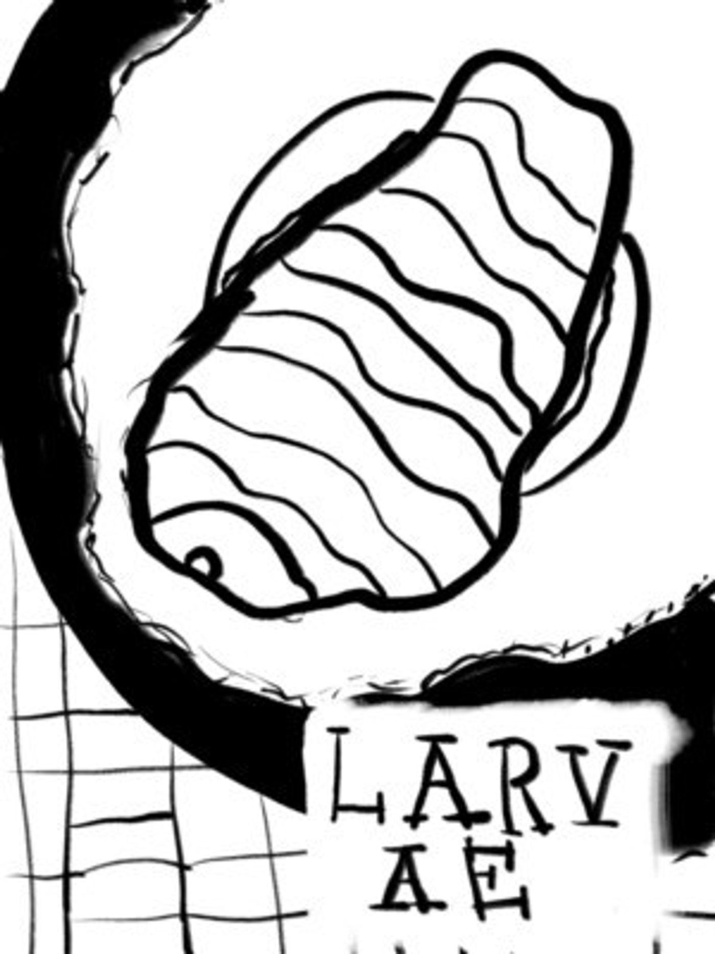 LARVAE Comes to the Alchemical Theatre  Image