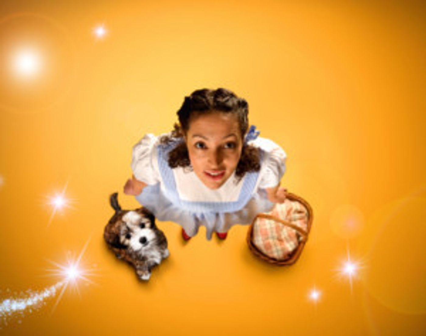 Birmingham Repertory Theatre Seeks Canine Star For THE WIZARD OF OZ  Image