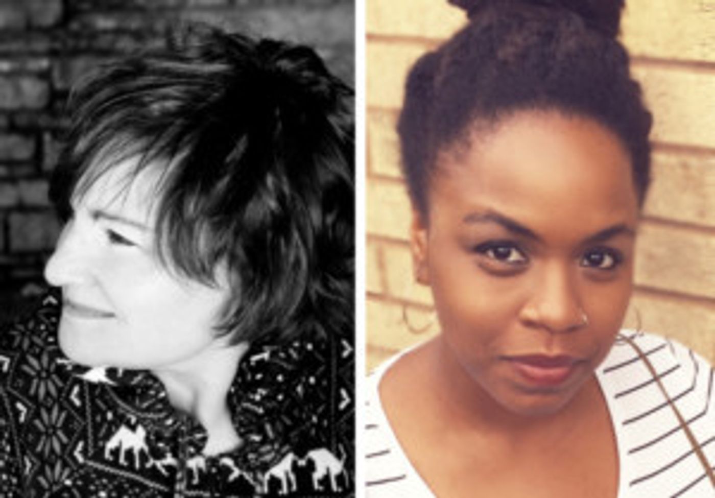 Steppenwolf For Young Adults Announces WE ARE PROUD TO PRESENT A PRESENTATION...  Image