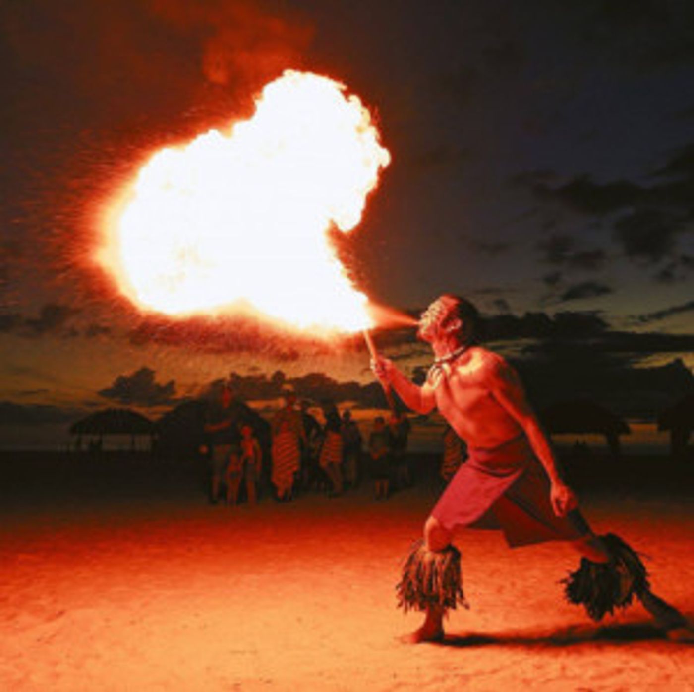 Broadway Palm To Present CIRCUS TRANSFORMUS  Image