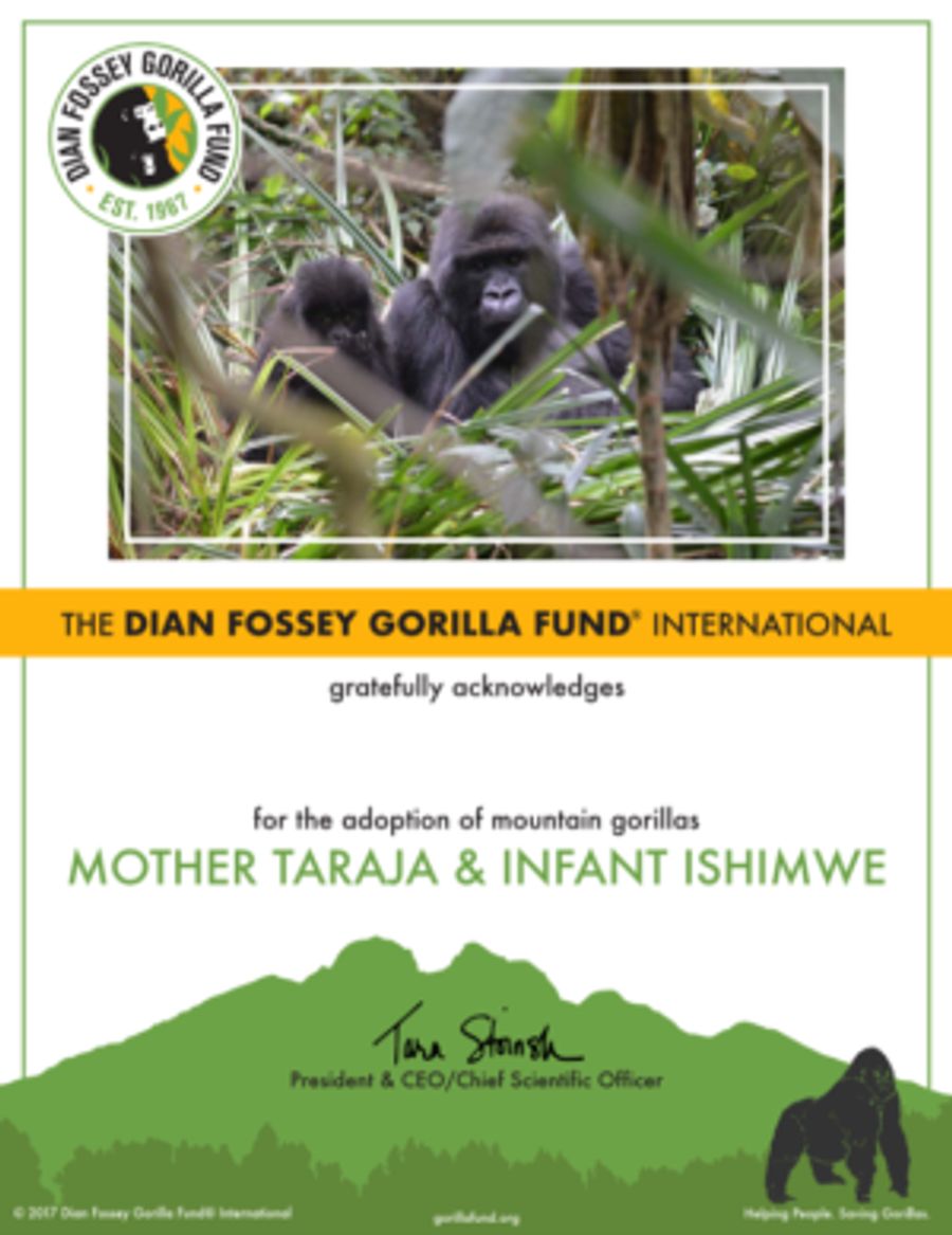 Donations From BTG's 8/5 Performance Of TARZAN Benefited Dian Fossey Gorilla Fund International Image