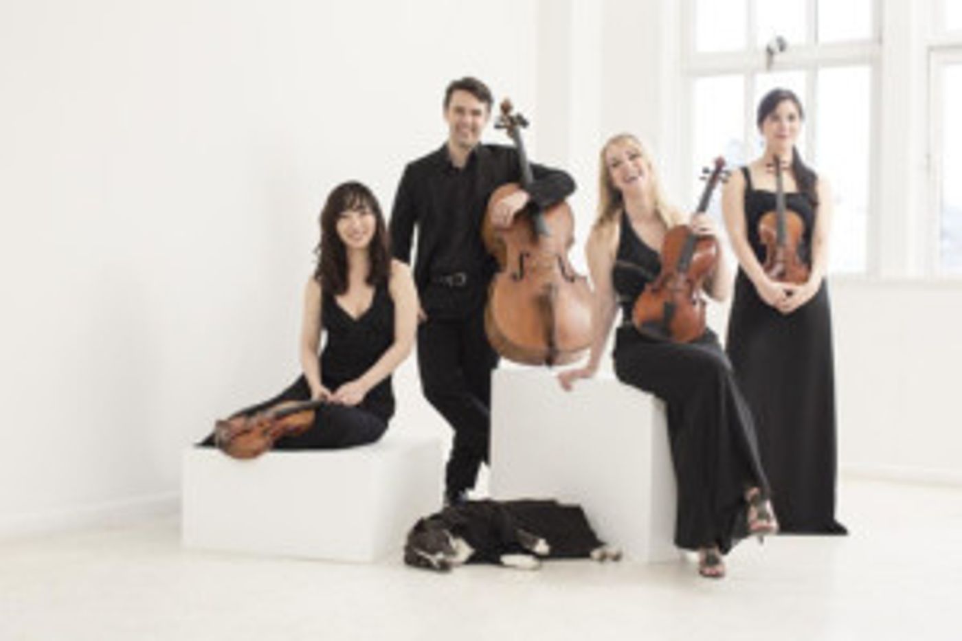 Solera Quartet Announces First Recording And Carnegie Debut  Image