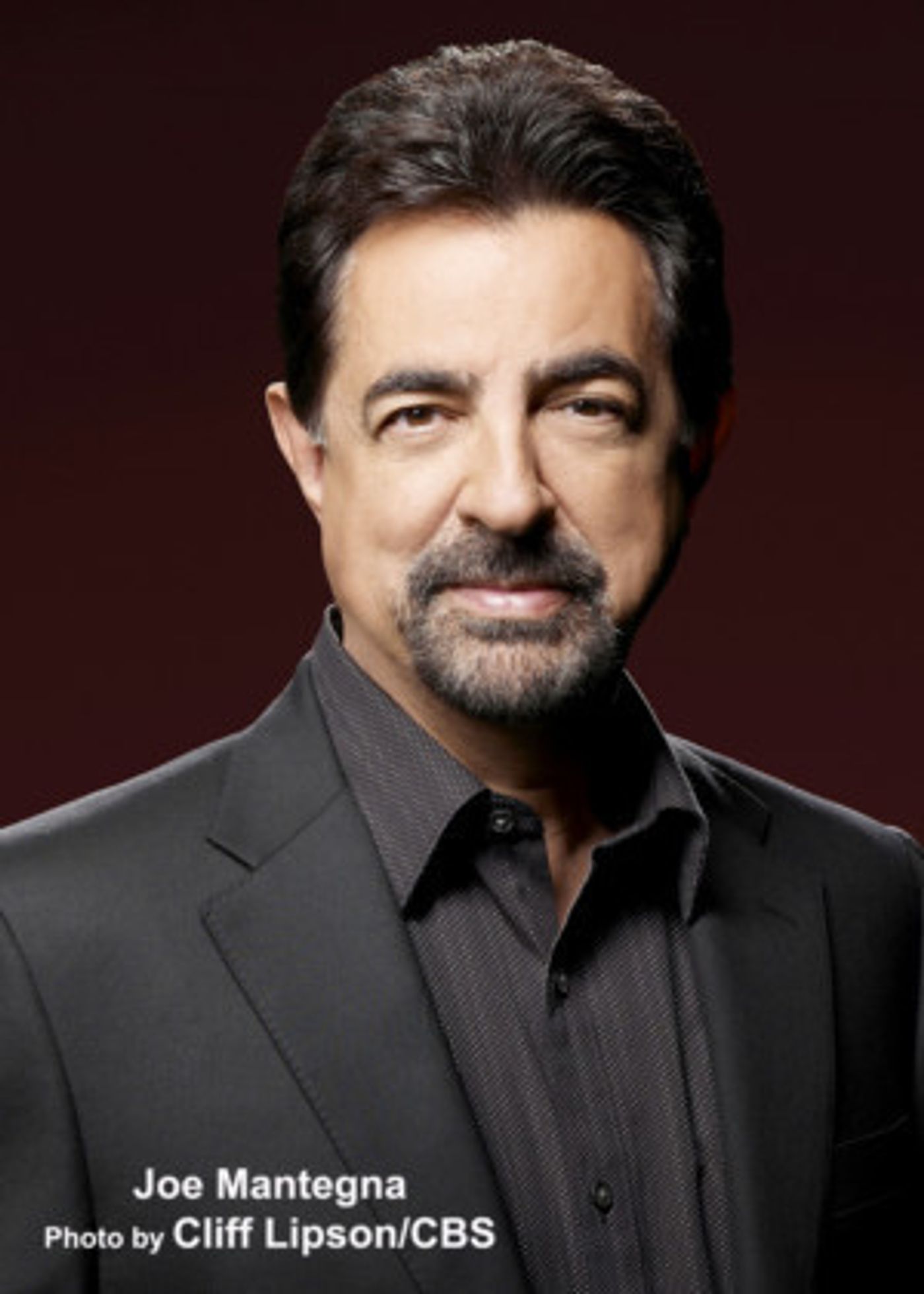 I'M NOT A COMEDIAN...I'M LENNY BRUCE Returns For Limited Engagement  Image