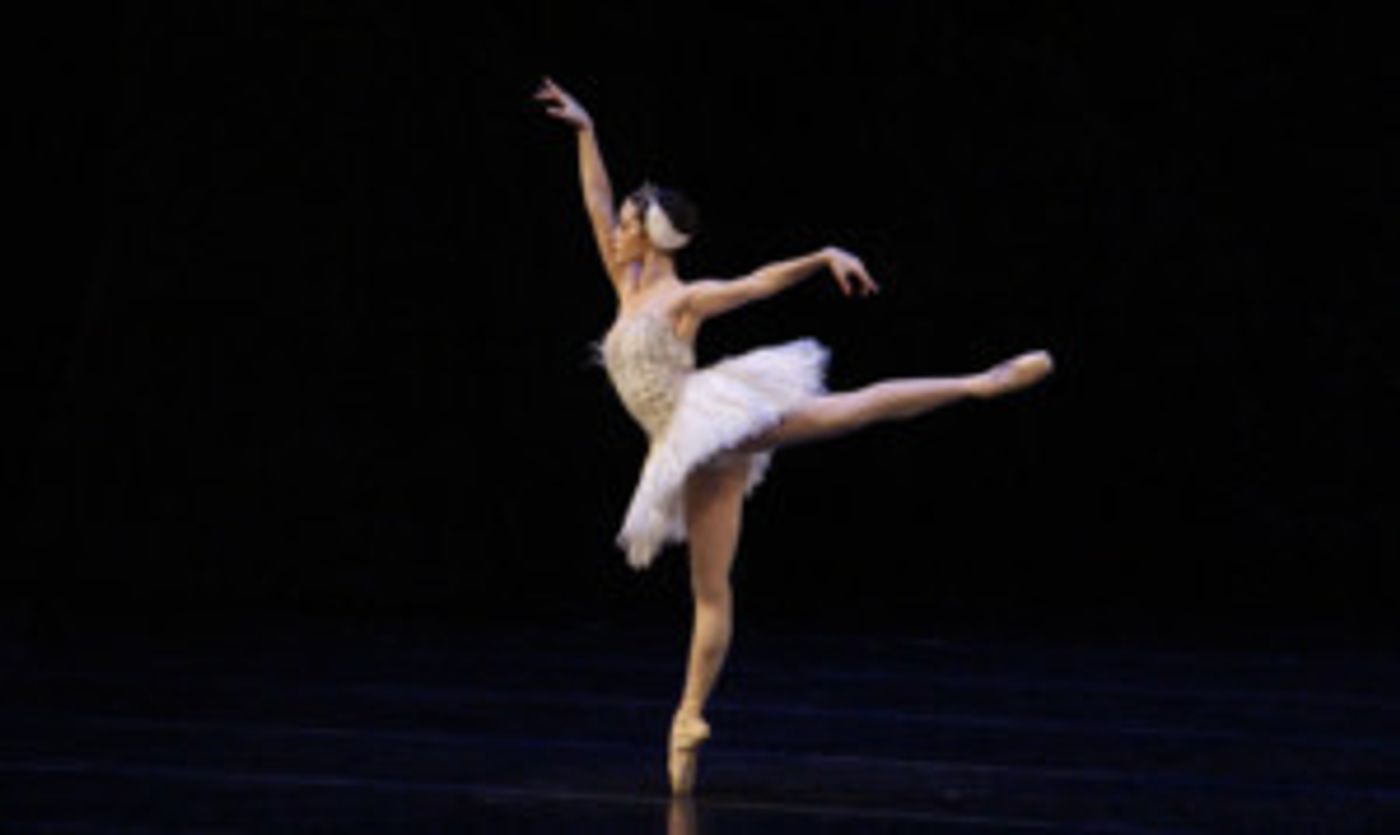 El Lago De Los Cisnes Refrendó Su Arraigo En El Gusto Del Público  Image