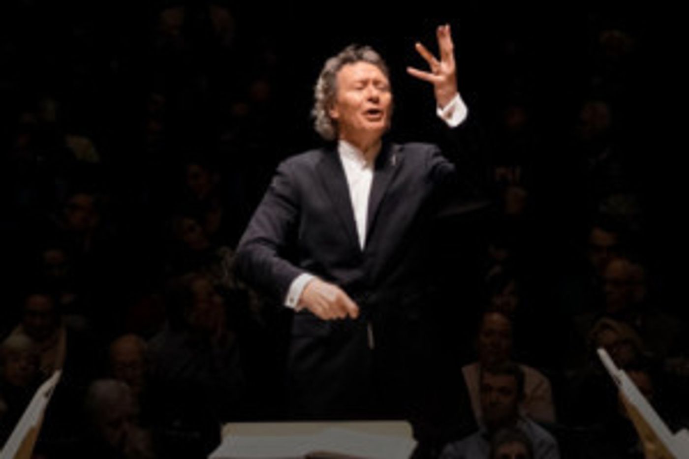 Handel And Haydn Society Kicks Off 2018/19 Season With The Great Bach Concertos And Cantatas  Image