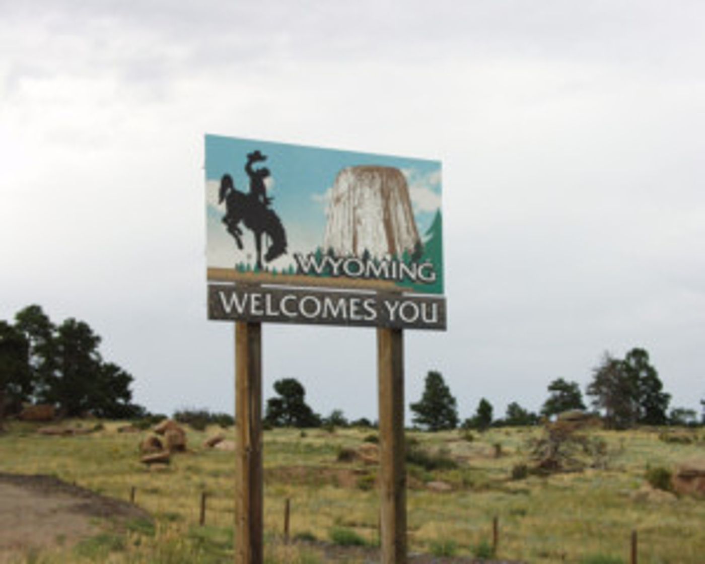 The Ringwald Stages THE LARAMIE PROJECT  Image