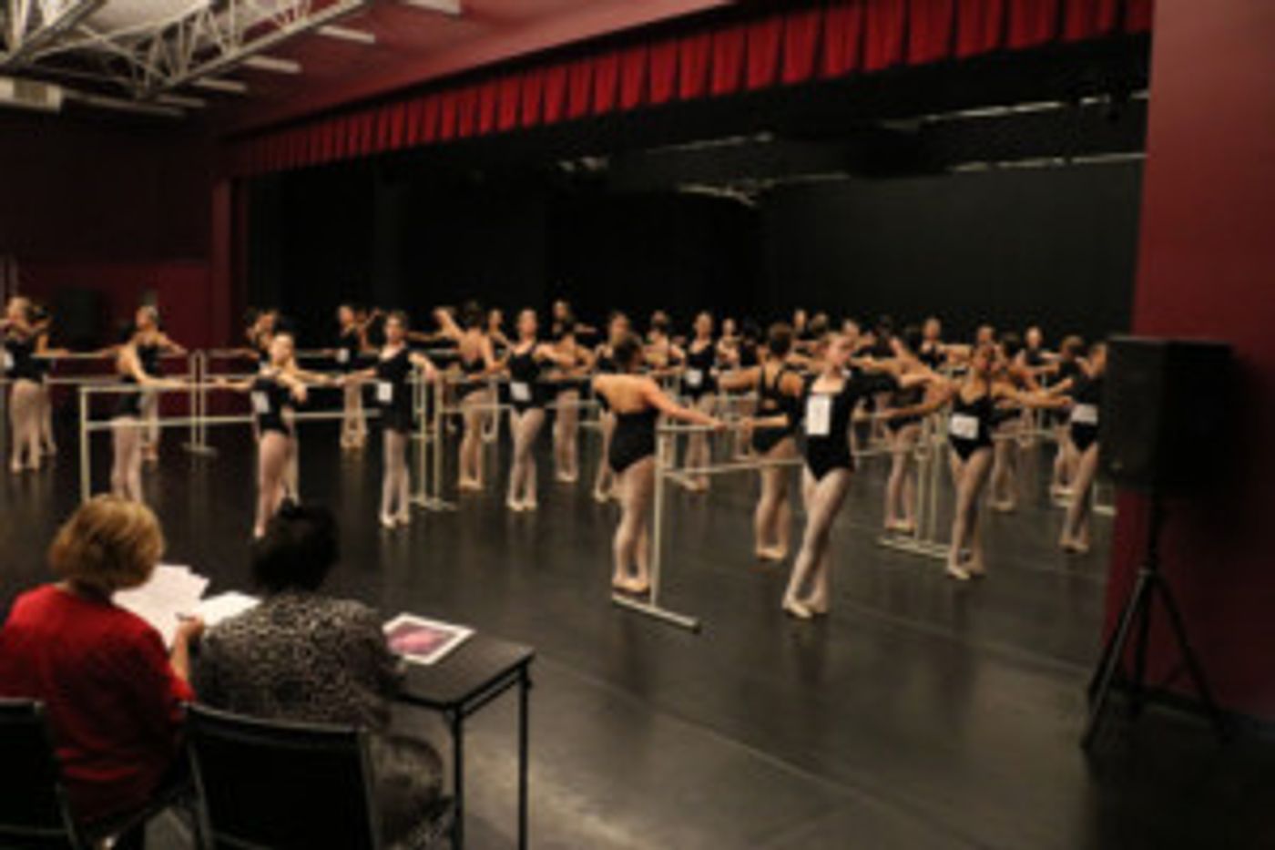 Maine State Ballet To Hold 2018 Auditions  Image