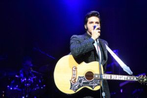 DONNY EDWARDS AS ELVIS Returns to Flat Rock for One Night Only  Image