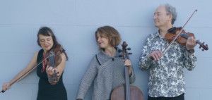 World-class Melbourne Improv String Trio BOWLINES Releases Second Album  Image