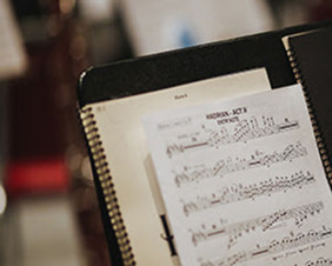 Hadrian Conference Explores Opera's Place In The 21st Century  Image