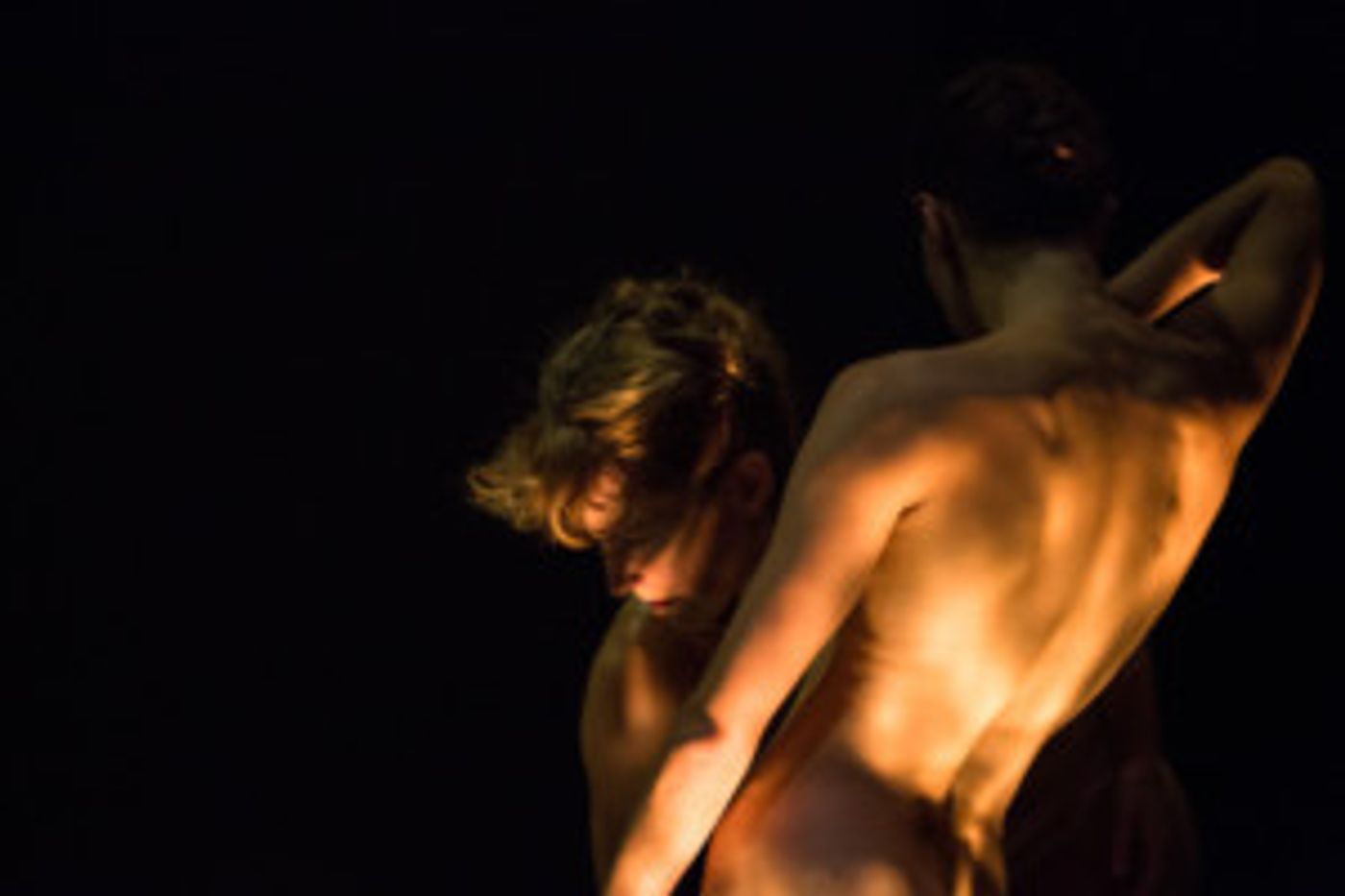 TDP Presents '18 International Dance Festival in October  Image