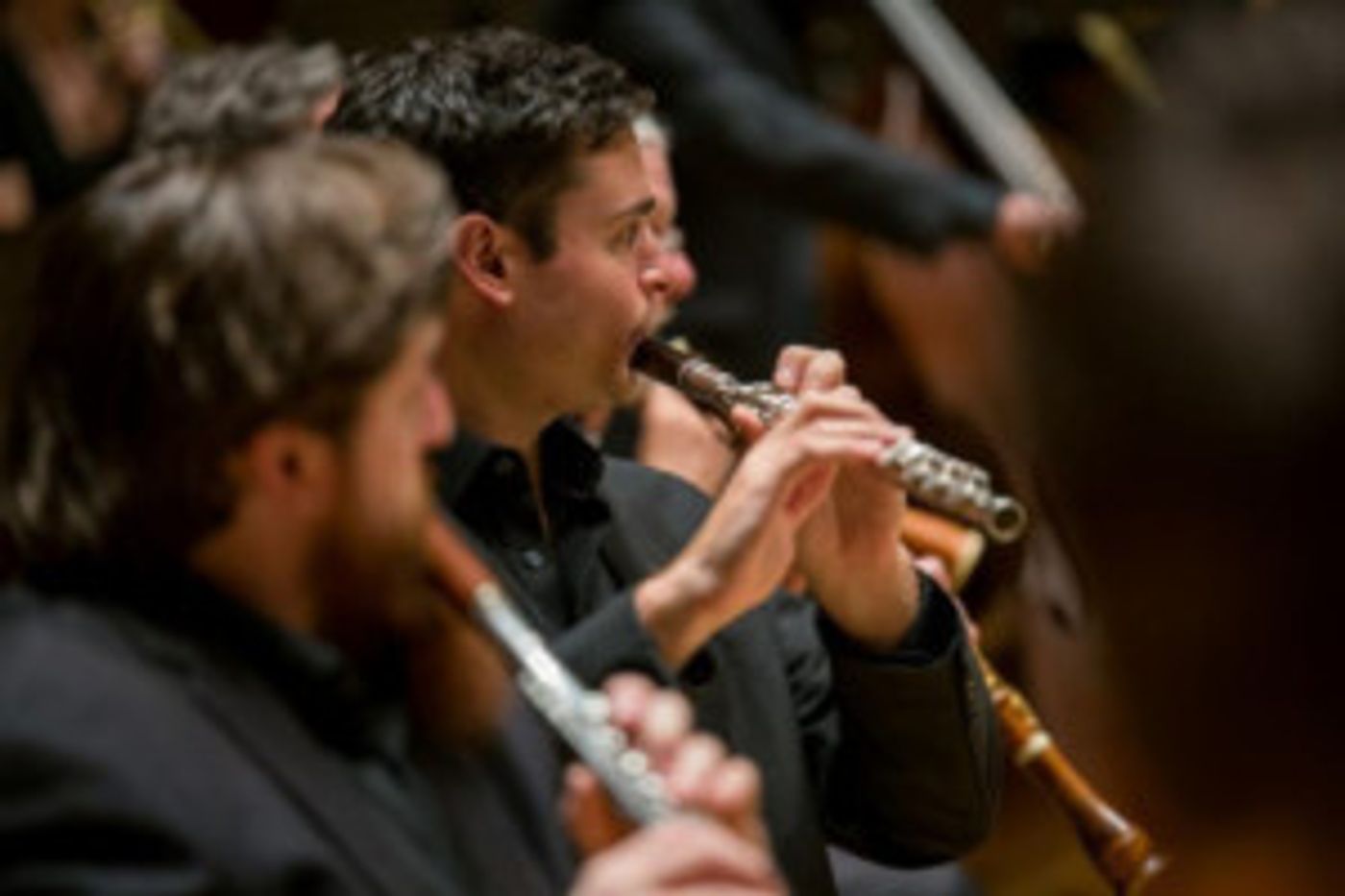 Flute And Harpsichord Take Center Stage In Mercury Chamber Orchestra's 2018-19 Expanded Neighborhood Series  Image