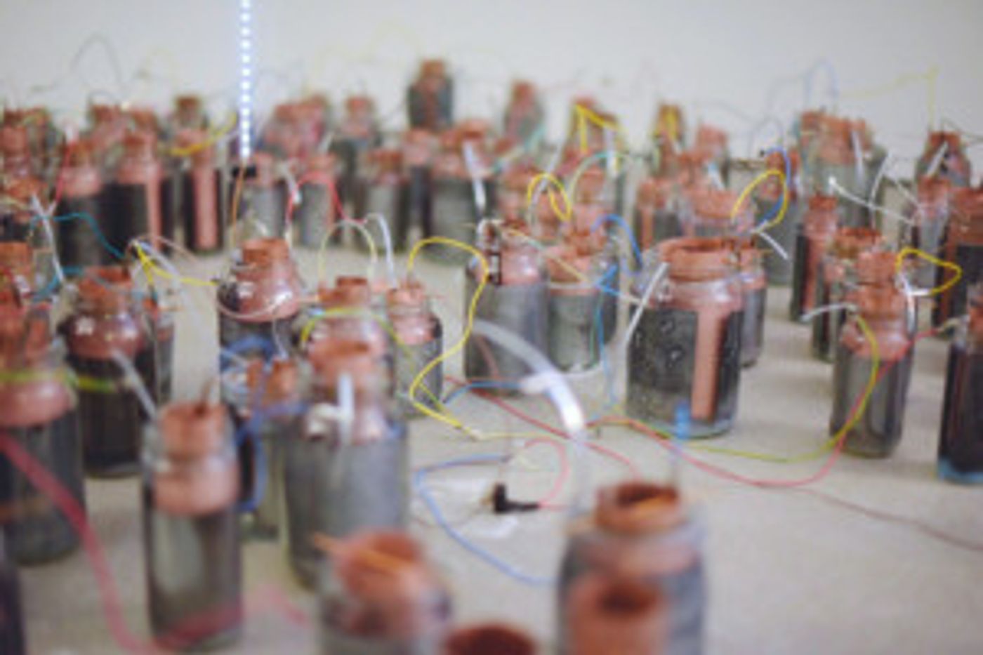 Artist Inspired By Warrington Museum Returns For Exhibition  Image