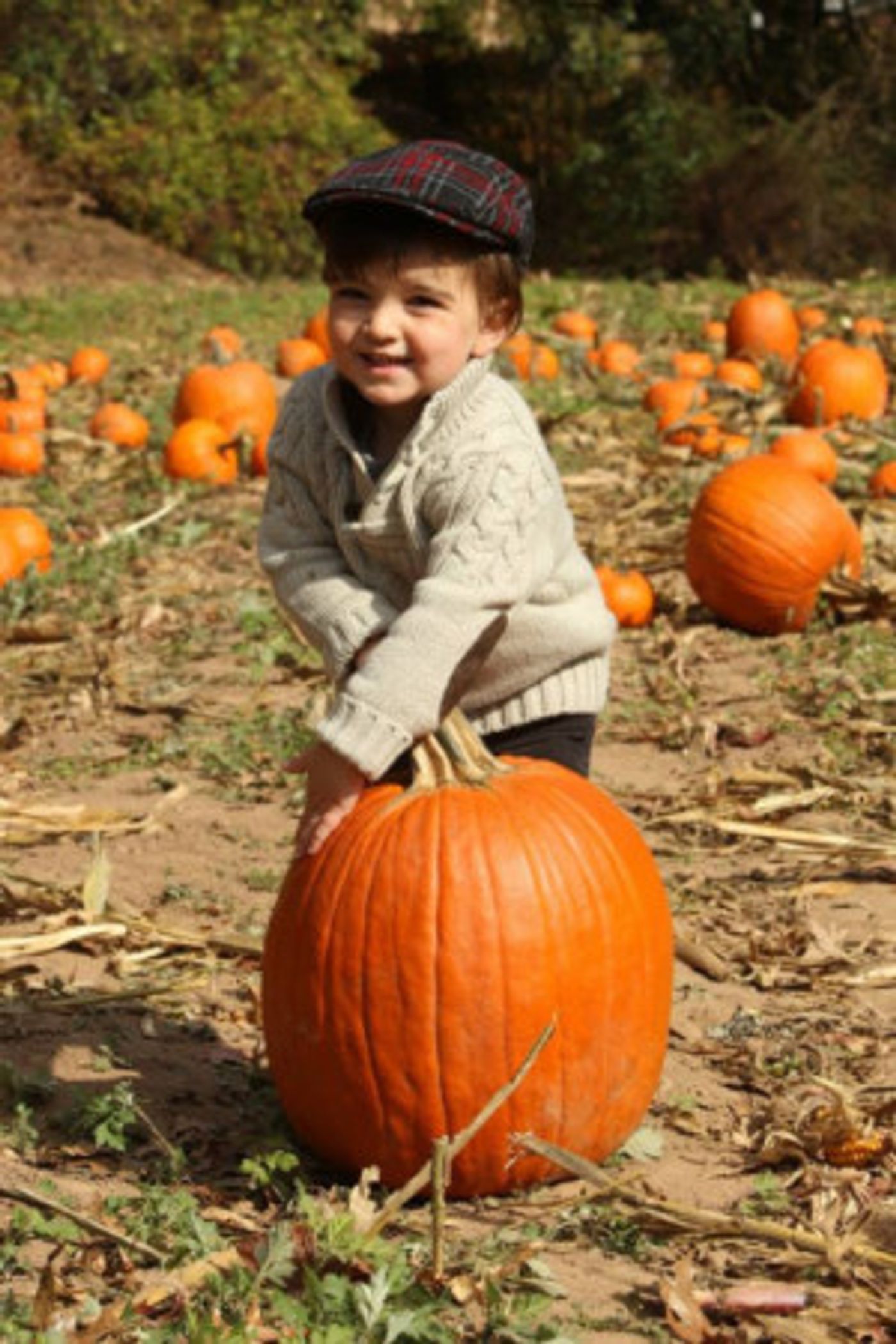 Fun Fall Activities Announced At Liberty Hall Museum  Image